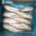 IWP seafood fish frozen grey mullet wholesale 1.2-1.5kg